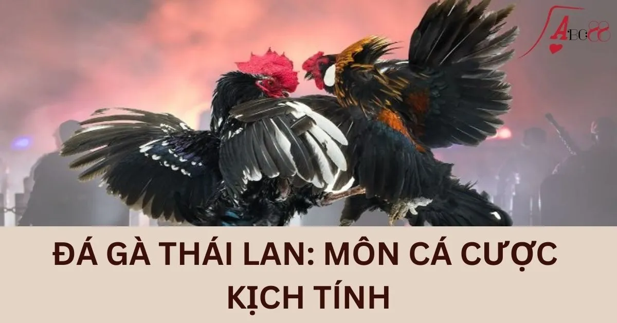 Đá gà Thái Lan